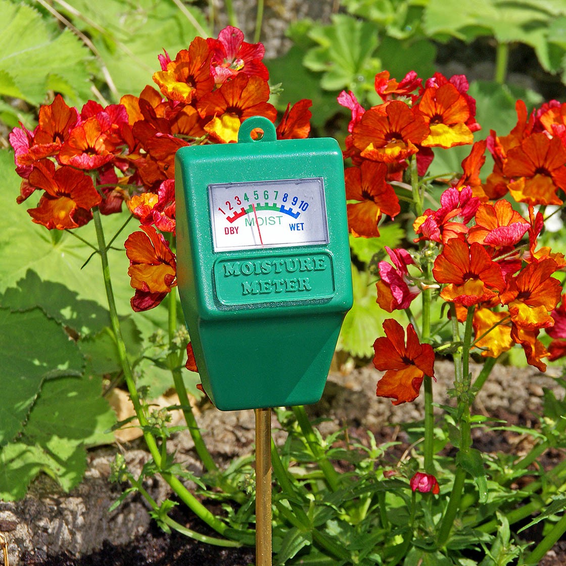 Feuchte-Tester im Garten